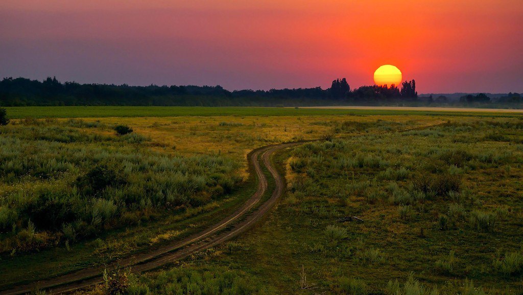 Закат в степи