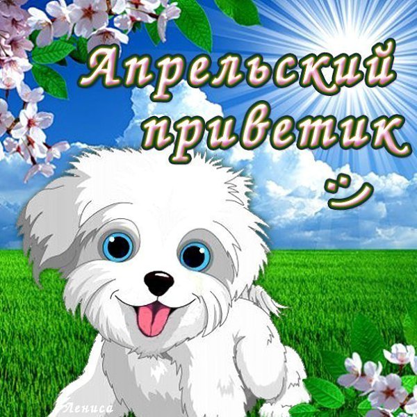 Здравствуйте Картинки Красивые С Пожеланиями Здравствуйте Картинки Красивые С Пожеланиями