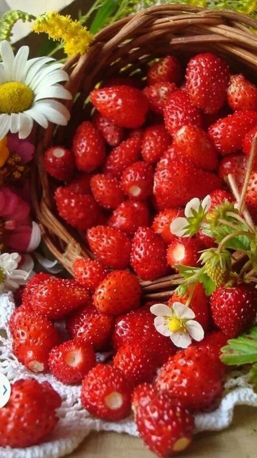 Картинки С Ягодами И Пожеланиями