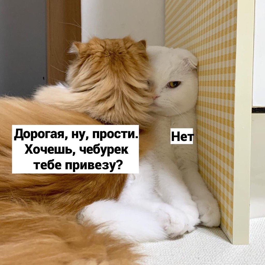 Ты обиделась нет сильно да