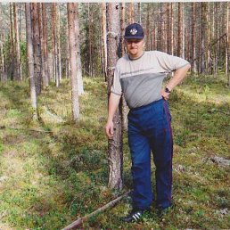 Дмитрий, 53 года, Кировск