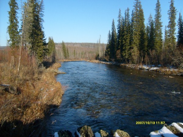 Железногорск илимский фото