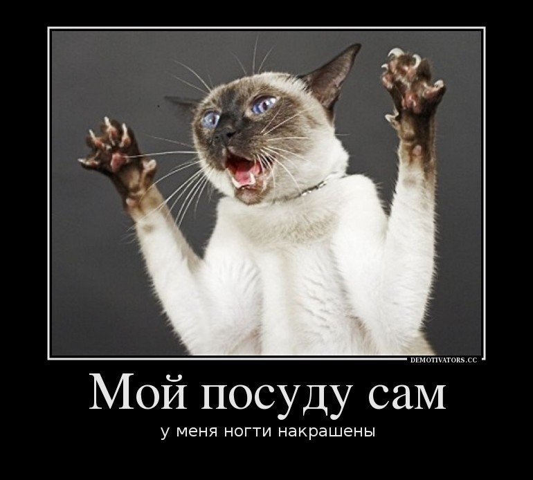 Не трогай то что работает. Работает не трогай. Работает не трогай программист. Мемы про программистов. Схема решения любой проблемы.