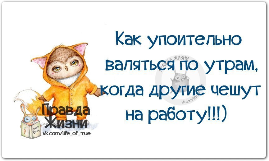 Как хорошо валяться по утрам когда другие чешут на работу картинки