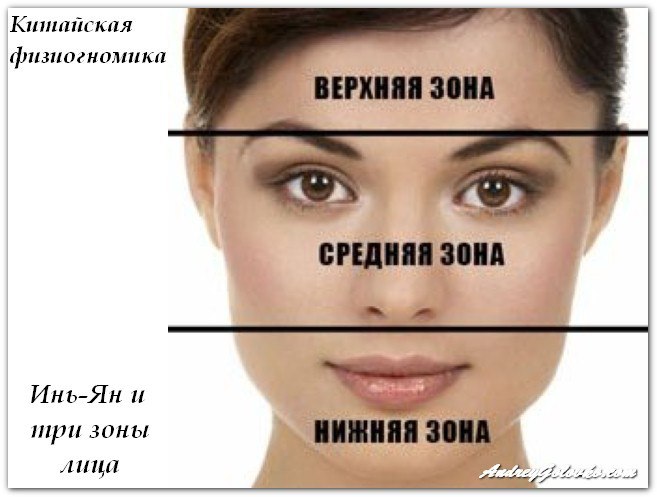 Физиогномика лица и характер схемы и описание изучение бесплатно