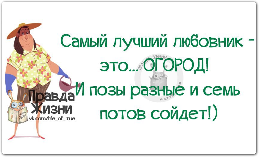 Картинки самый лучший любовник это огород и позы разные и семь потов сойдет