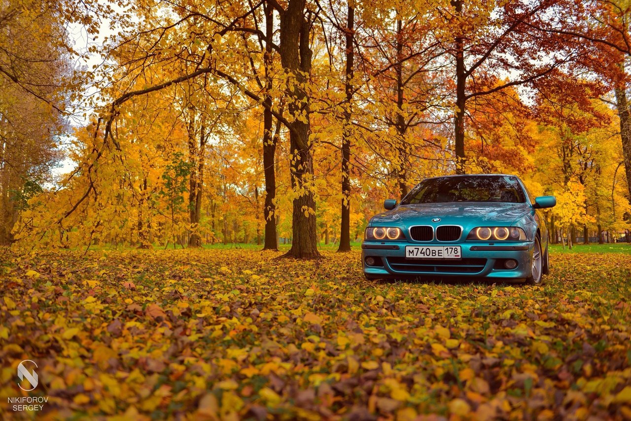 BMW e39 осень