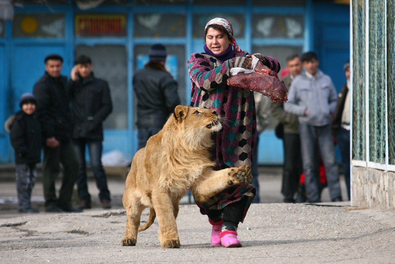 Душанбинский зоопарк Душанбе