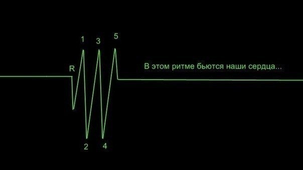 в моем сердце бьются ритмы. Heartbeat альбом. ритм сердца. биение сердца кардиограмма. сердца бьются в унисон.