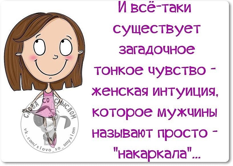 Интуиция смешные картинки