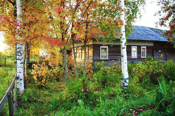 Родительский дом картинки красивые