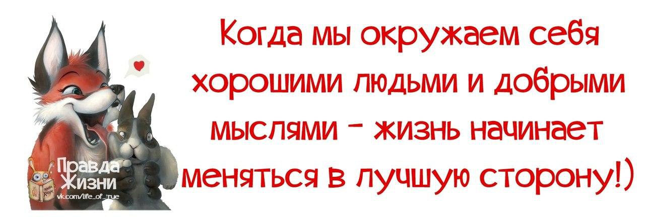 Смешные цитаты с картинками правда жизни