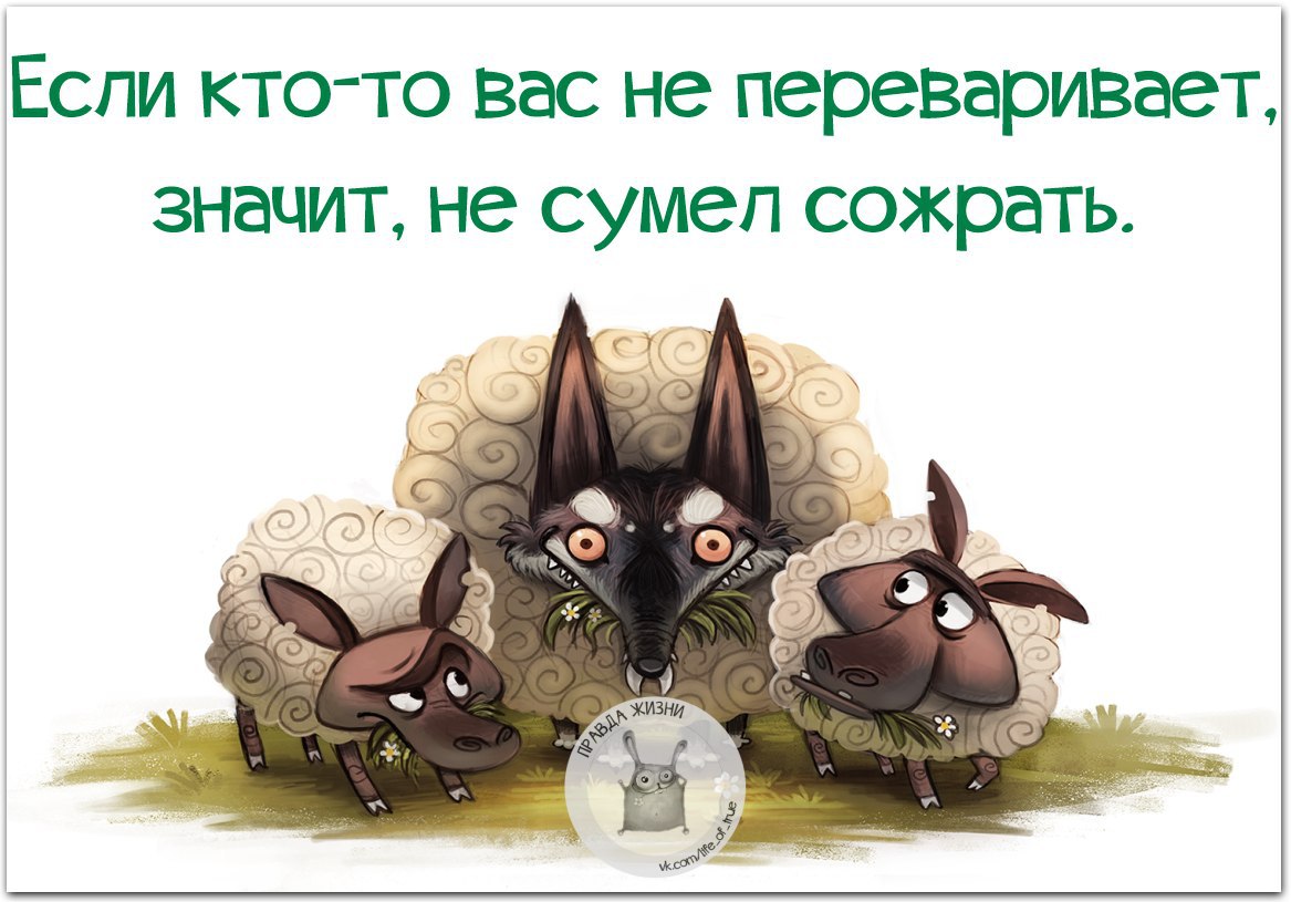 Если вас кто то не переваривает значит не сумел сожрать картинки