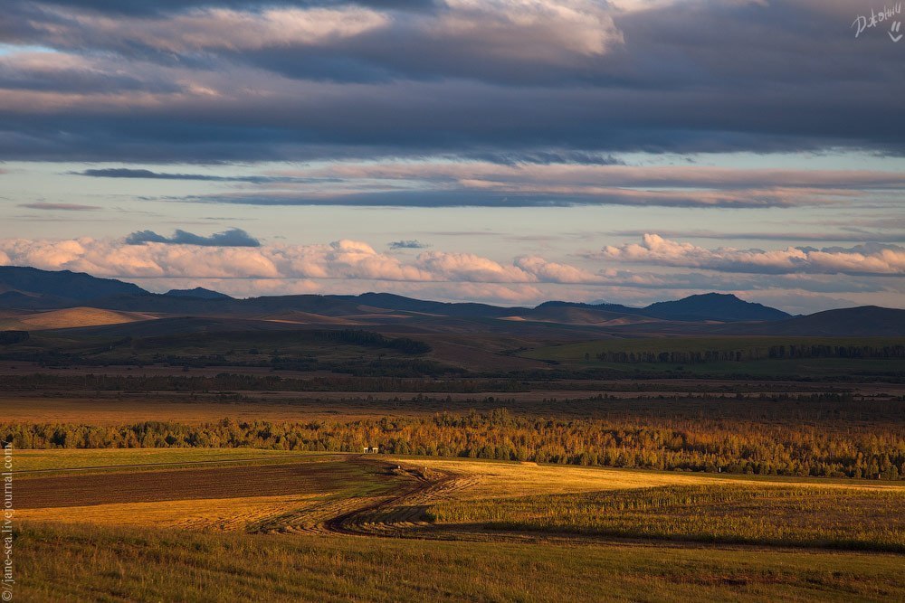 Равнины алтайского края. Село Россоши Алтайский край Алтайский. Алтайский край окрестности села Краснодарского. Поверхность Алтайского края. Республика Алтай Кулундинская равнина.