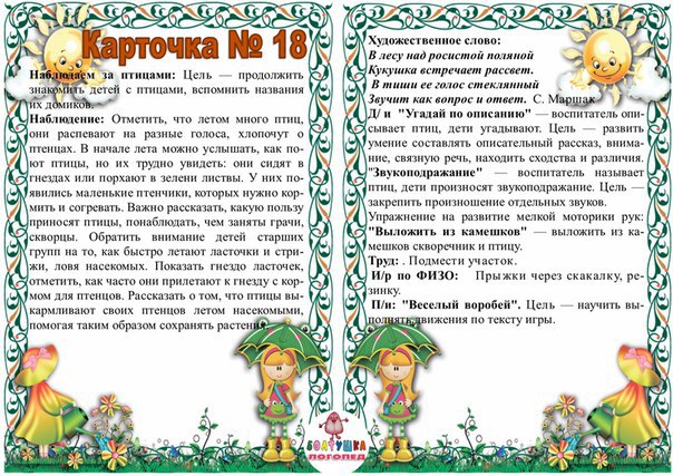 План прогулки в средней группе летом