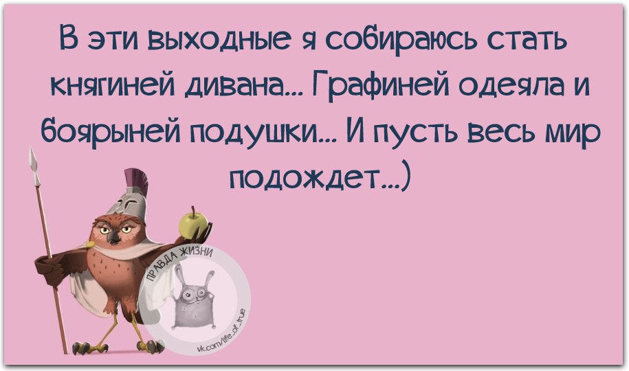 Пусть весь мир подождет картинки прикольные