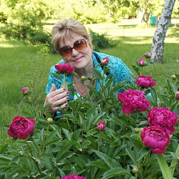Svetlana, 59 лет, Харьков