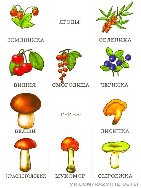 Календарный план грибы ягоды подготовительная группа