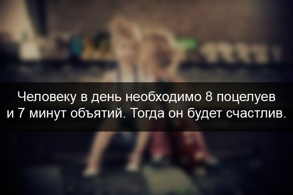 Сколько обнимал сколько целовал украшал рисунками холодный подвал