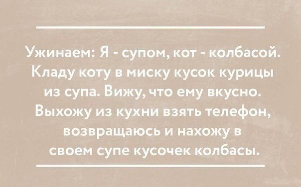 Колбаса «охотничья». Пепперони из колбасы. Рыжий кот ворует колбасу. Печенье курабье смешной мемас. Колбасу положите.