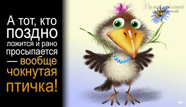 Чокнутая птичка картинка