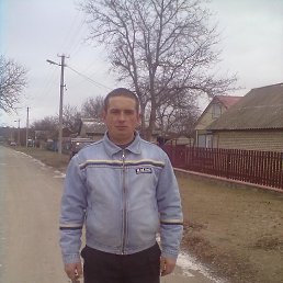 , 41 , 