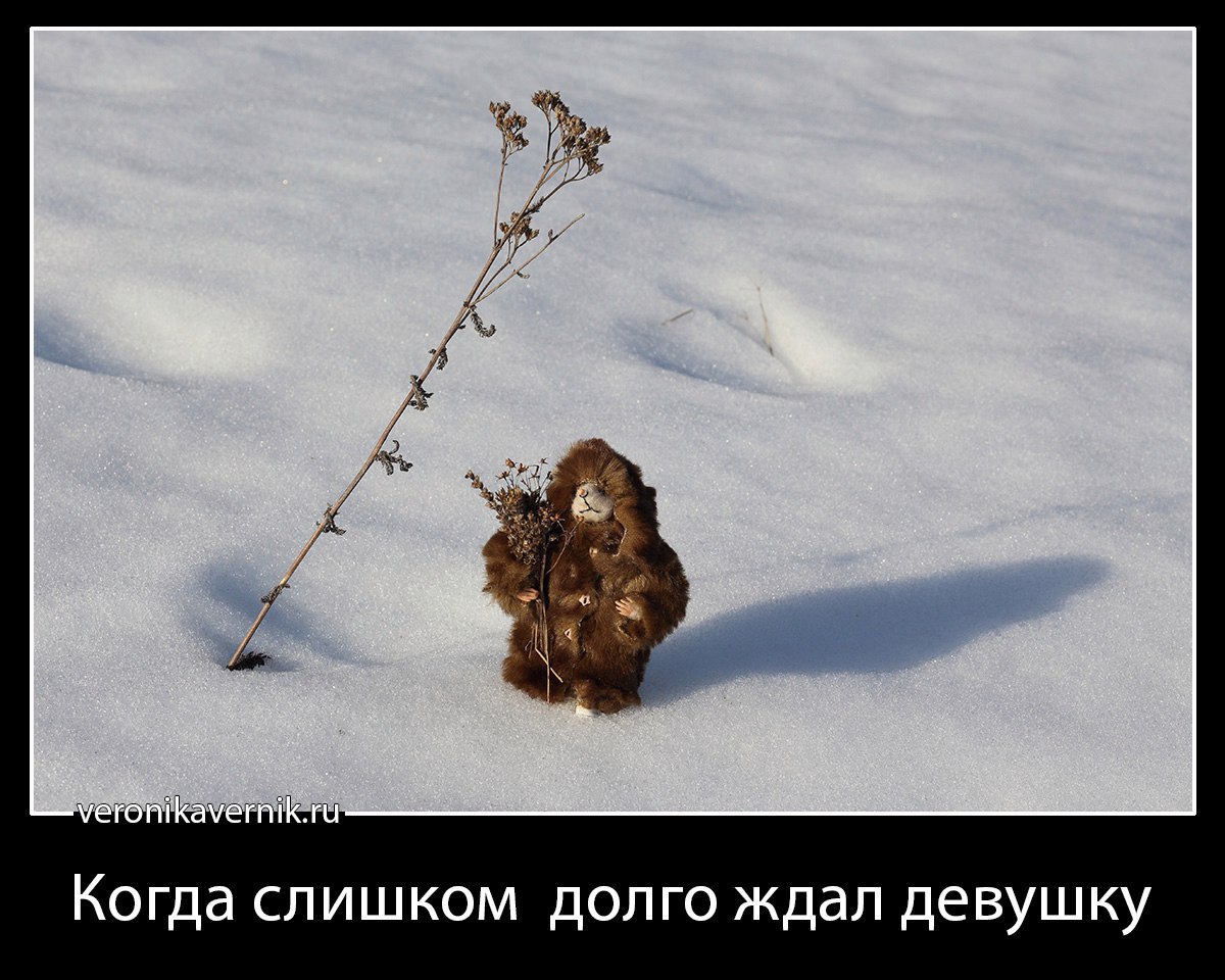 Когда долго ждешь прикол