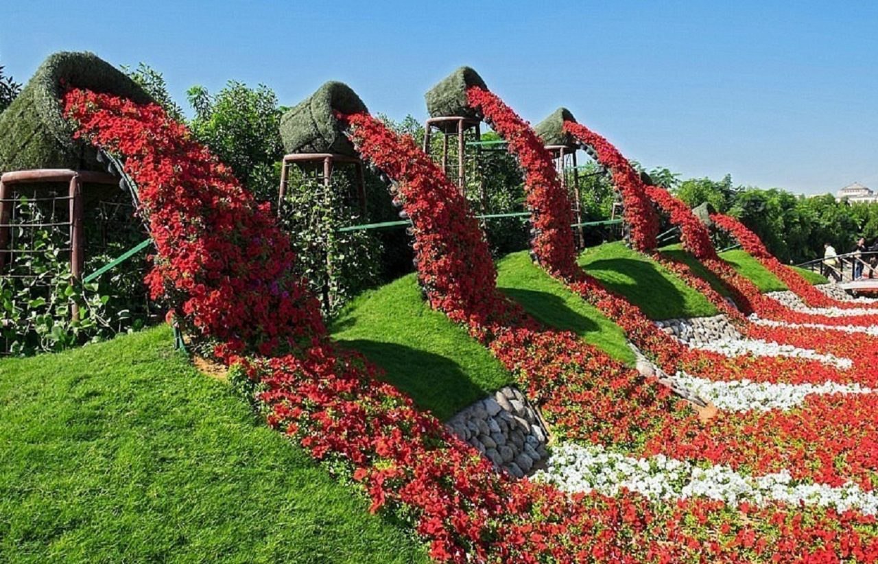 Дубай Миракл Гарден Dubai Miracle Garden