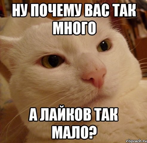 Смешные картинки, прикольные картинки для лайков