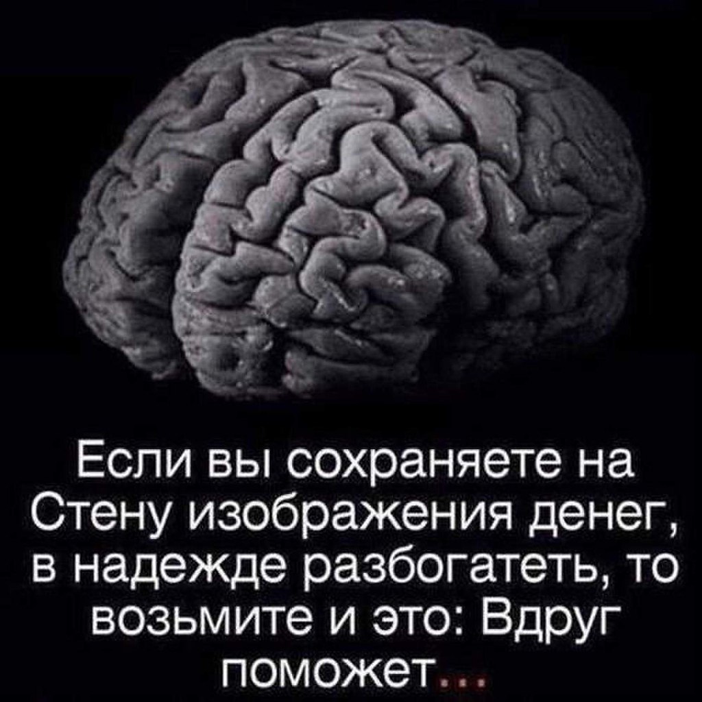 Фразы про мозги