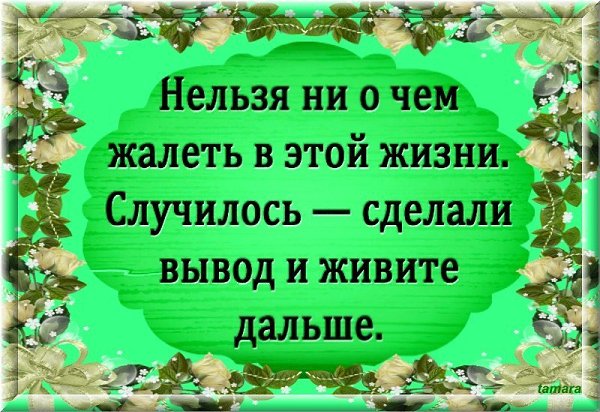 Нельзя ни о чем жалеть в этой жизни случилось сделали вывод и живите дальше картинки