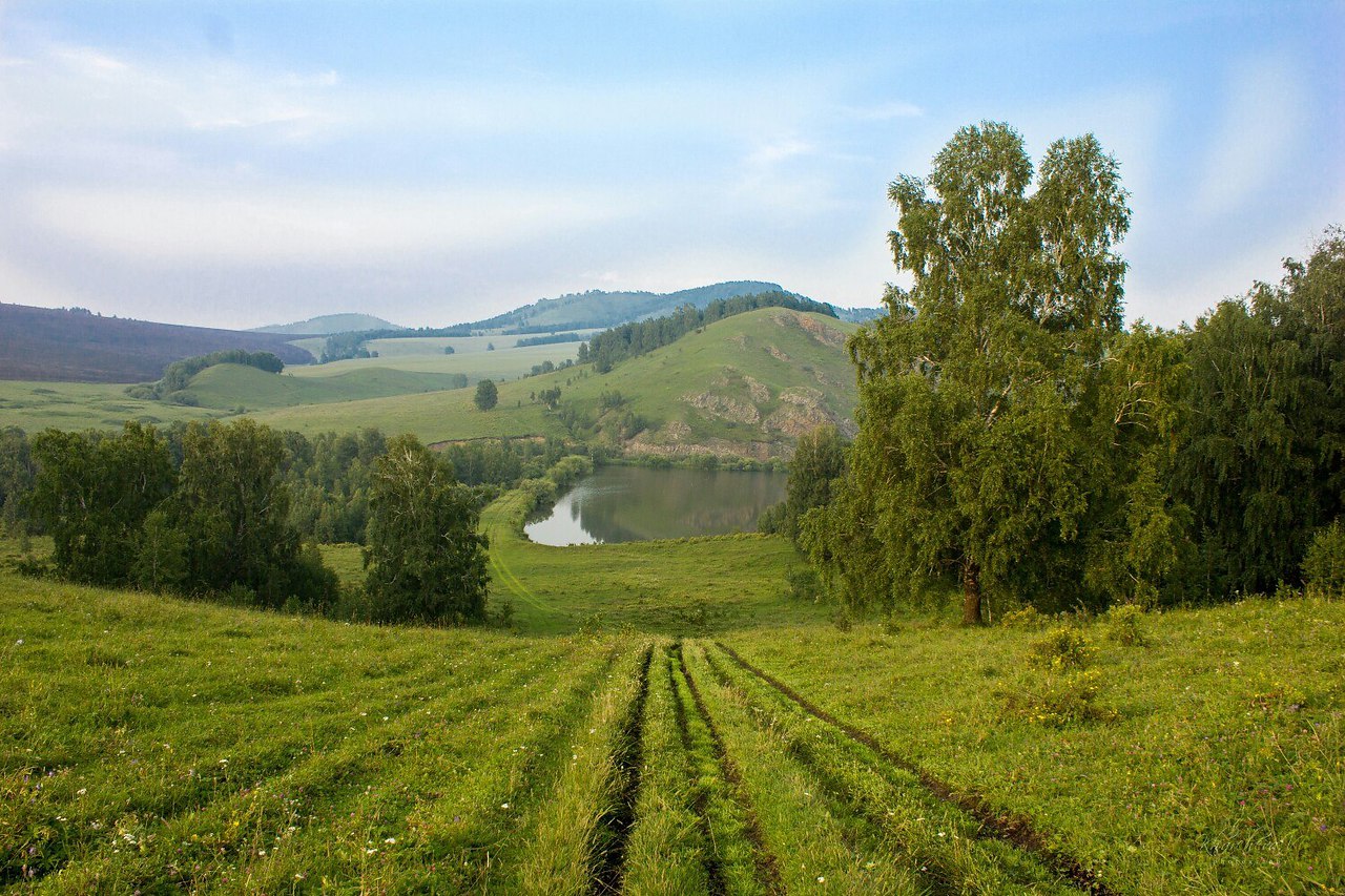 Участок в красноярском районе. Берёзовая грива Краснокаменск. Желтые скалы Шарыповский район. Деревня Ершово Шарыповский район Красноярский край. Березовая грива Шарыповский район.