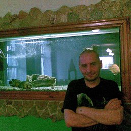 , 38 , 