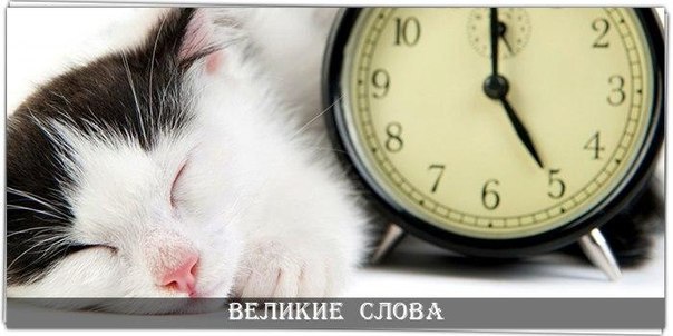 Нормальному человеку, чтобы выспаться, нужно еще 5 ... - Великие слова ...