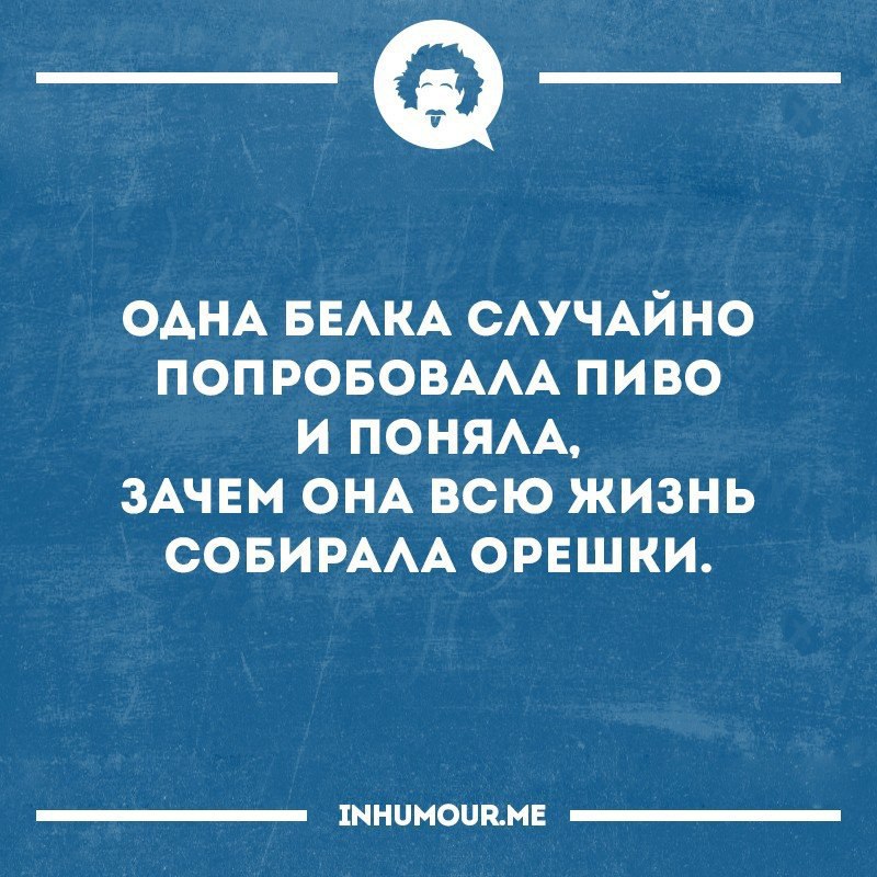 Однажды в старом пуховике найдешь маску. Смешные интеллектуальные шутки. Интеллектуальные анекдоты. Интеллектуальные анекдоты в картинках. Свежие интеллектуальные шутки.