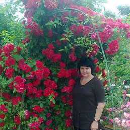 Елена, 51 год, Красный Лиман