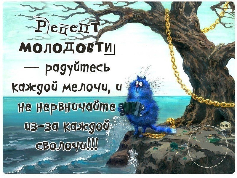 Не нервничай картинки