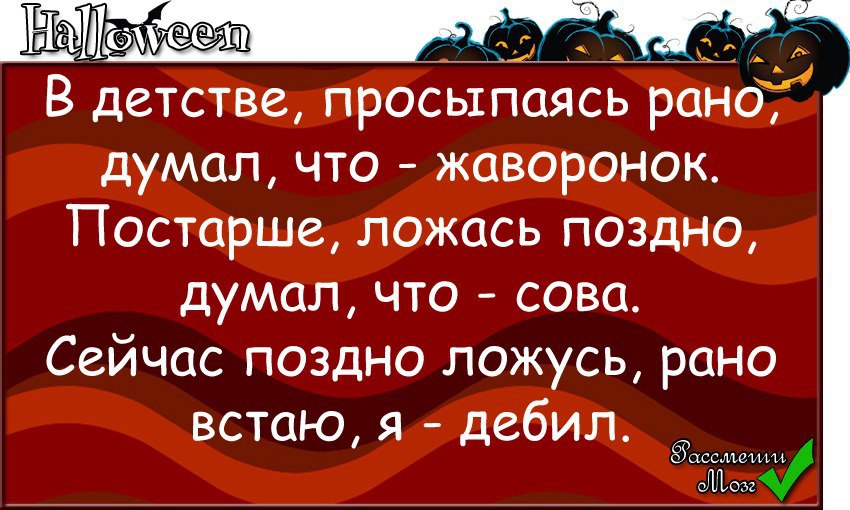 Легла стар. Просыпайся дебил. Анекдот поздно легла. Раньше я думала что я Сова.