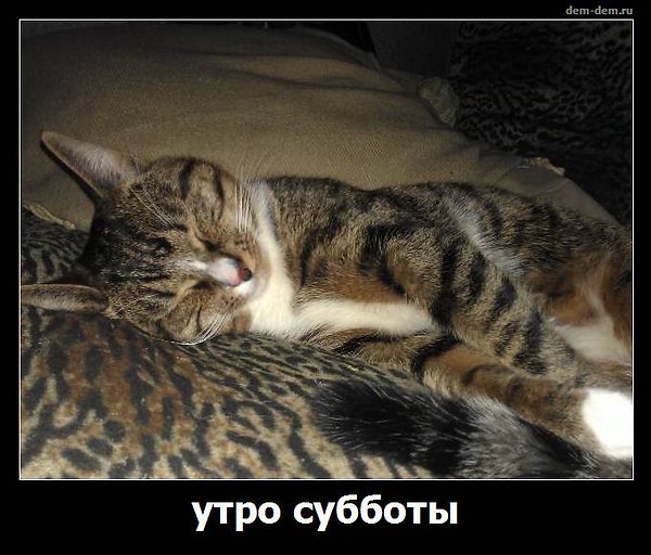 Суббота Есть Суббота Фото