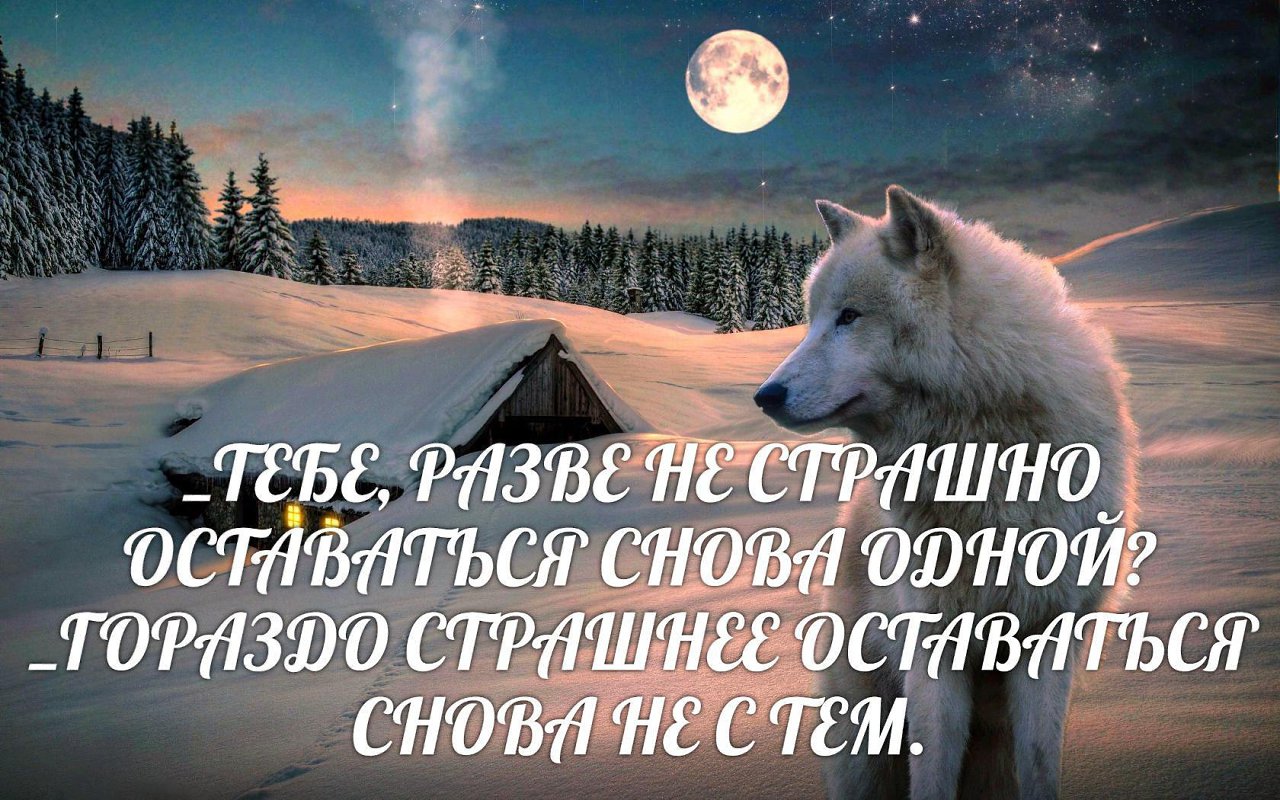 Одинокая волчица картинки с надписью