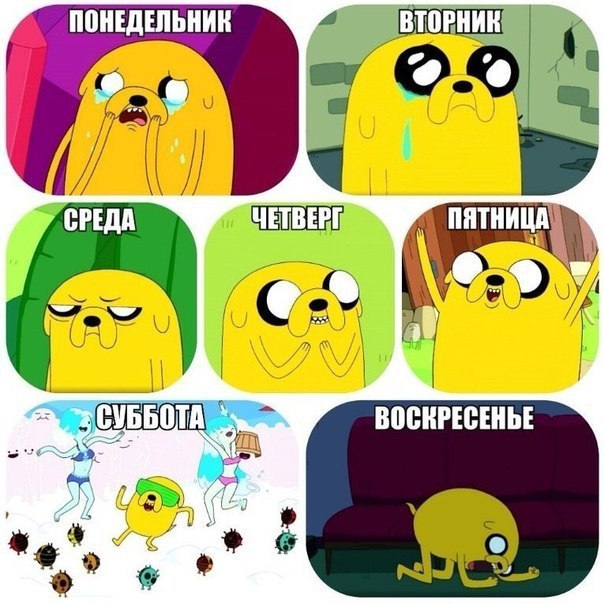 Понедельник мемы в картинках смешные