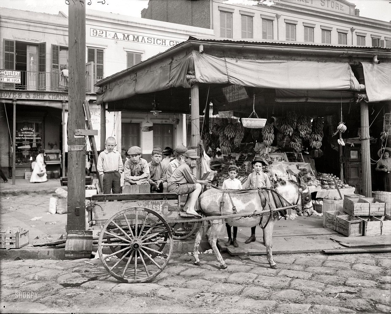 1910 год фото