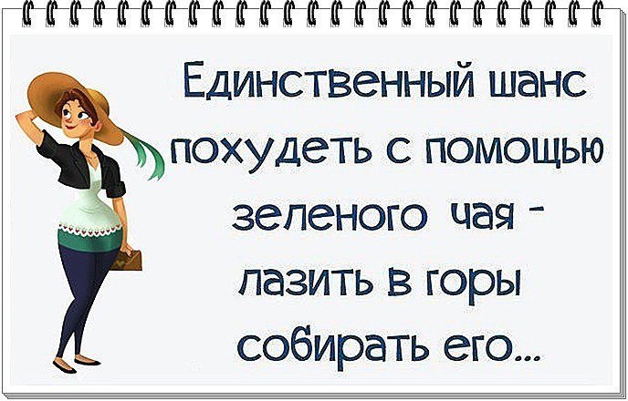 Думала единственный. Единственный шанс похудеть с помощью зеленого чая. Я так думаю единственный шанс похудеть с помощью зеленого чая. Похудеть с помощью зеленого чая юмор. Похудеть с помощью зеленого чая собирать его самой.