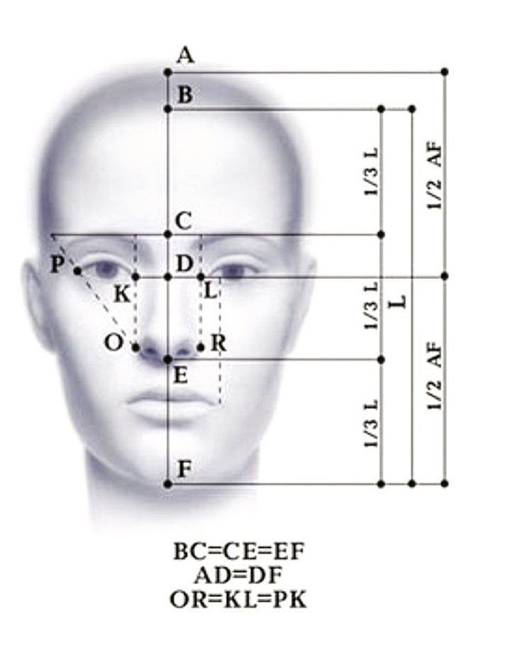 Как измерить пропорции лица на фото