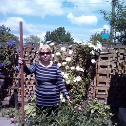 , 65 ,  