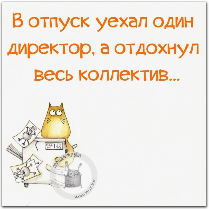 В отпуск ушел один человек а отдохнул весь коллектив картинка