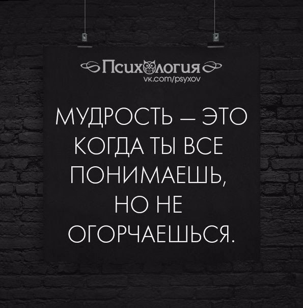 Мудрость это. Мудрость это когда. Мудрость это когда все понимаешь. Мудрость это когда ты все. Мудрость это когда ты всё понимаешь.