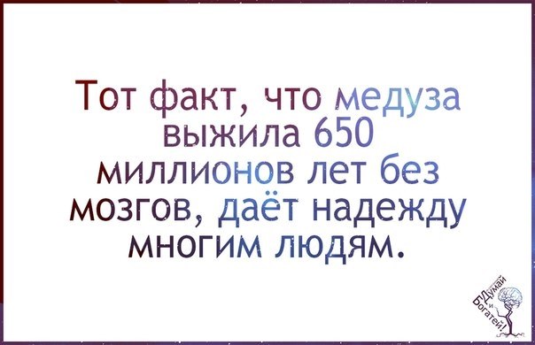 Тот факт что медуза выжила 650 миллионов лет без мозгов дает надежду многим людям картинки