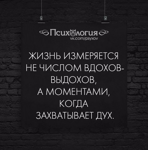 Захватило дух это. Жизнь измеряется количеством. Жизнь измеряется не количеством вдохов. Жизнь измеряется не количеством вдохов а количеством моментов. Жизнь не измеряется количеством сделанных вдохов.