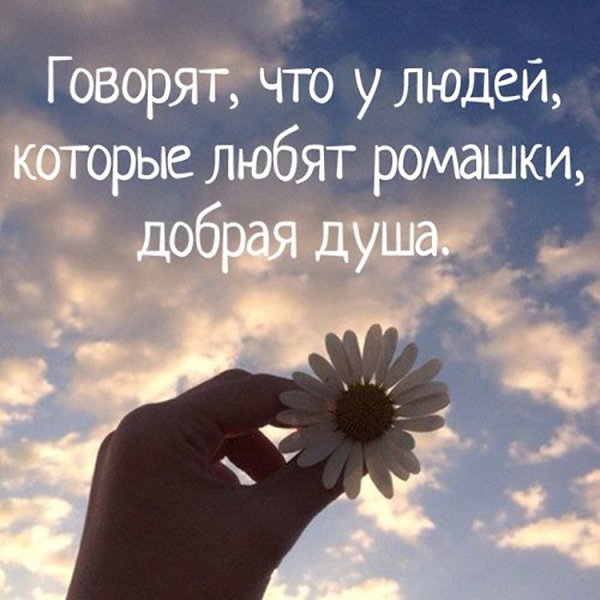 Добрая душа картинки со словами, елочка своими